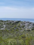 Mosor (Vickov stup i Veliki kabal) 031